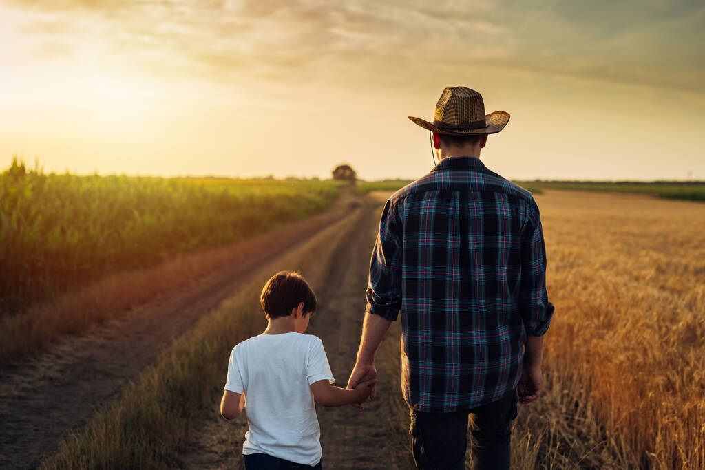 back view of father and son walking on country road on wheat field on sunset - Foto, imagen