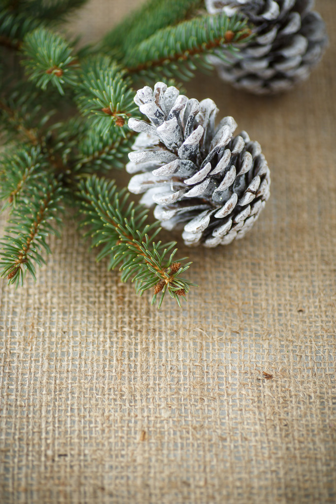 Рождественская елка с шишками  - Фото, изображение