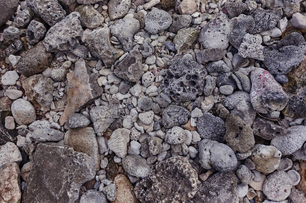 Meksika 'daki Maya Rivierası' nın tipik gözenekli fosil taşlarının dokusu. - Fotoğraf, Görsel