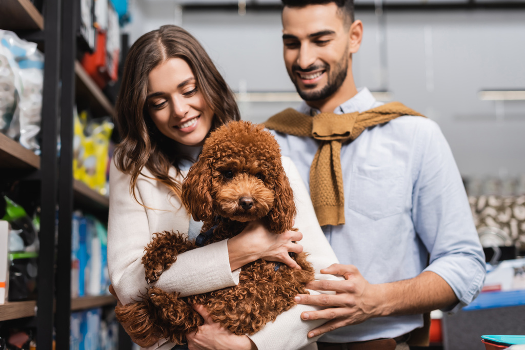 Smiling woman holding poodle near blurred arabian boyfriend in pet shop - Foto, afbeelding
