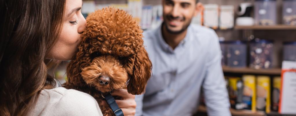 Woman kissing brown poodle near blurred seller in pet shop, banner  - Photo, Image
