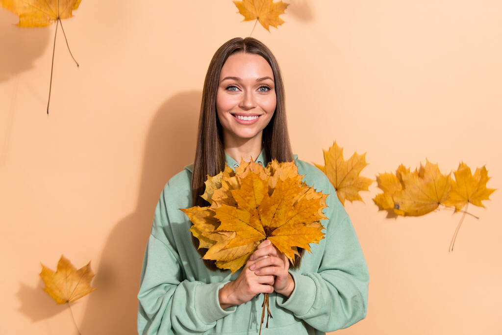 Portrait of attractive cheerful romantic girl holding bunch leaves flying dream isolated over beige pastel color background. - Foto, Imagem