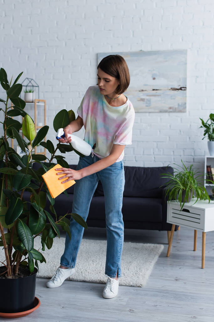 Brunette woman cleaning potted plant in living room  - Fotografie, Obrázek
