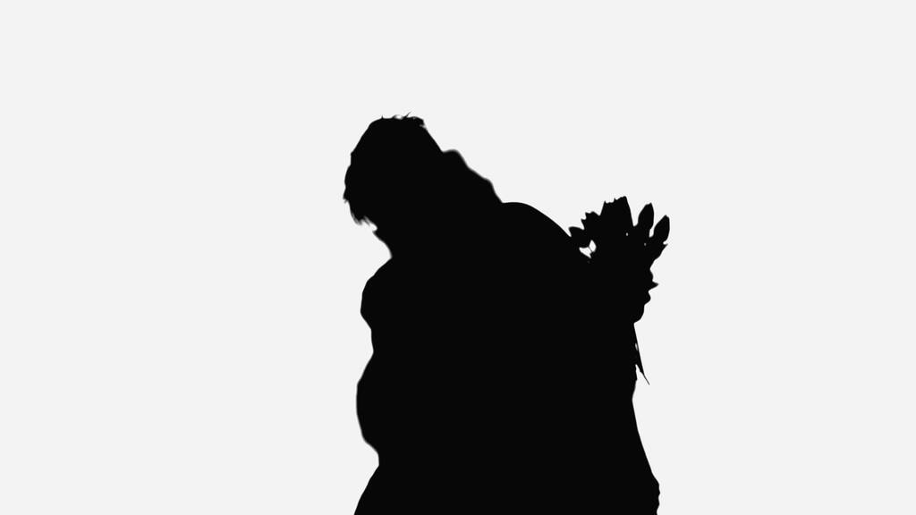 black silhouette of man embracing woman holding flowers isolated on white - Photo, image