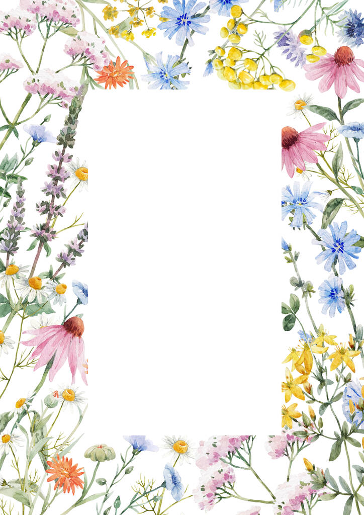 Piękna kwiatowa ramka z akwarelą ręcznie rysowane letnie dzikie kwiaty polne. Ilustracja. - Zdjęcie, obraz