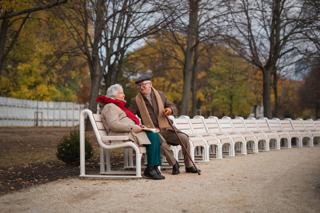 A happy senior friends sitting on bench and talking outdoors in park on autumn day. - Photo, Image