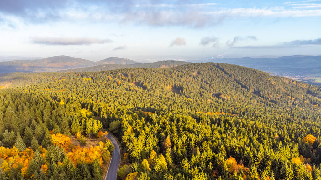 Αεροφωτογραφία του φθινοπωρινού δάσους στο ηλιόλουστο πρωινό - Φωτογραφία, εικόνα