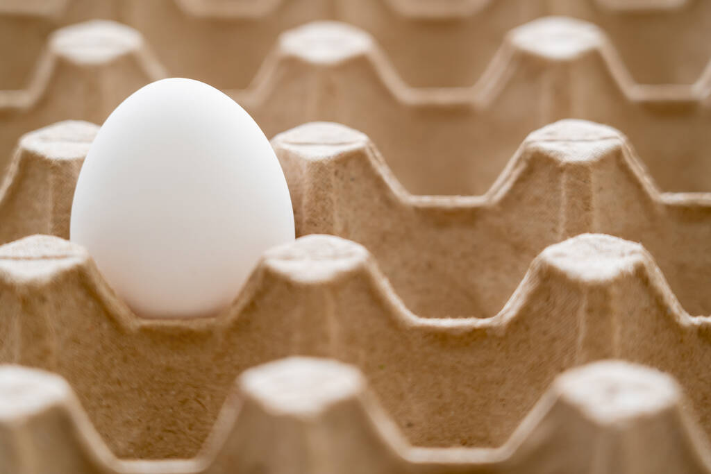 Widok z bliska na białe jajko w zasobniku z tektury nadającej się do recyklingu  - Zdjęcie, obraz