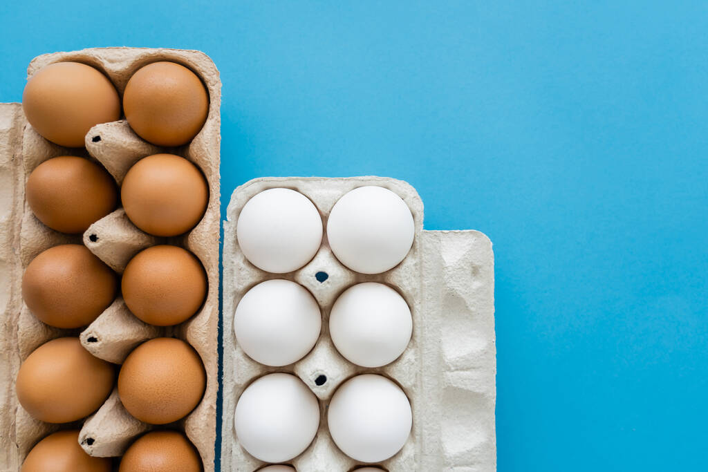 Top view of open carton trays with chicken eggs on blue background - Photo, Image
