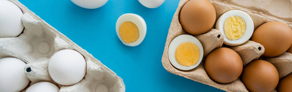 Vista superior de ovos cozidos e crus perto de recipientes de papelão na superfície azul, bandeira  - Foto, Imagem