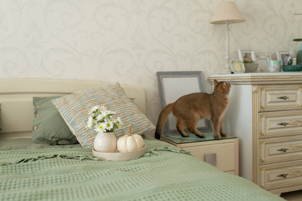 chat domestique rouge avec les yeux verts dans la chambre sur le lit, intérieur de la chambre - Photo, image