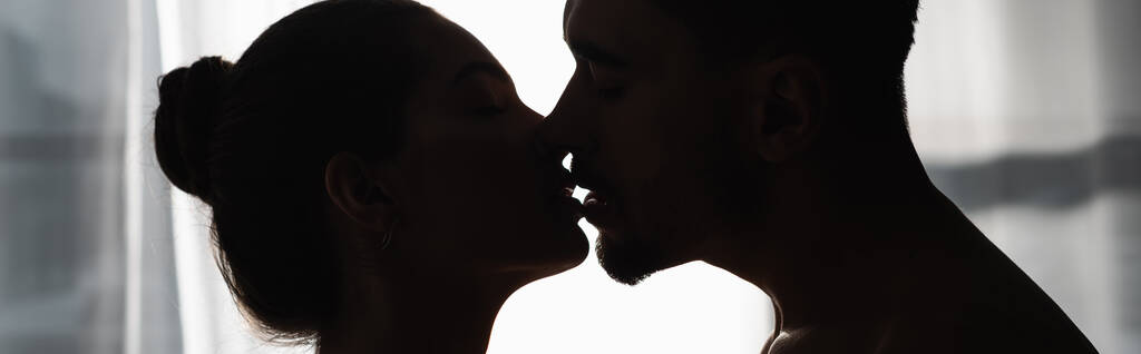 πλαϊνή άποψη των σκούρων σιλουέτες του ζευγαριού φιλιά στο σπίτι, πανό - Φωτογραφία, εικόνα