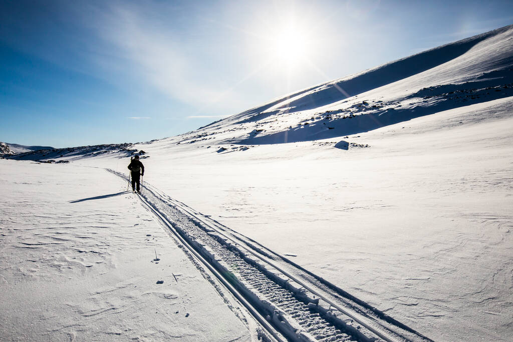 Ski expedition in Dovrefjell National Park, south Norway. - Photo, Image