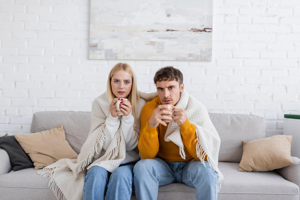 mladý pár pokrytý dekou sedí na gauči a drží šálky čaje  - Fotografie, Obrázek