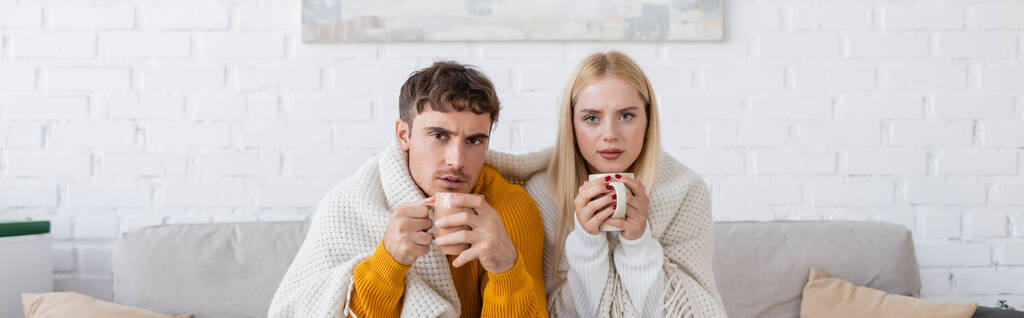 jovem casal coberto de cobertor sentado no sofá e segurando xícaras de chá, banner - Foto, Imagem