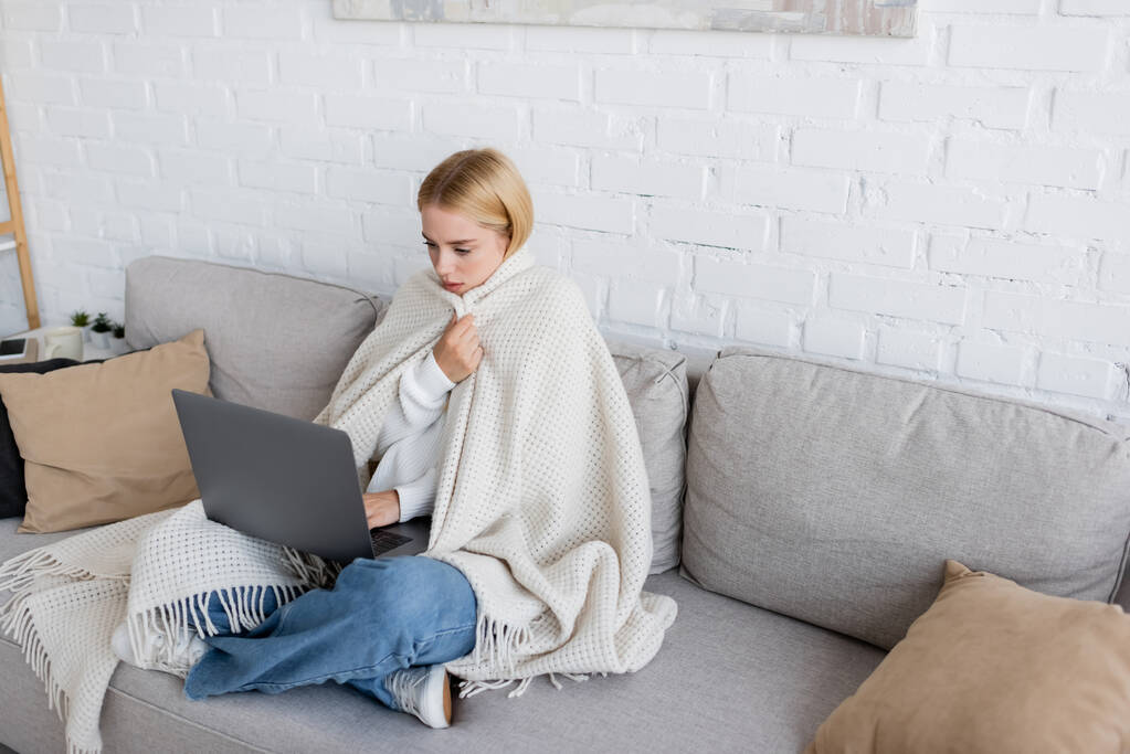 młody blondynka freelancer pokryte w biały koc za pomocą laptopa podczas siedzenia na kanapie w salonie  - Zdjęcie, obraz
