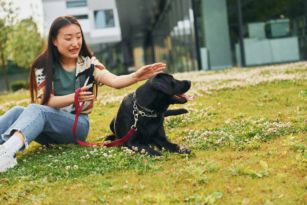 Hrát si se psem. Mladá asijská žena je venku ve dne. - Fotografie, Obrázek