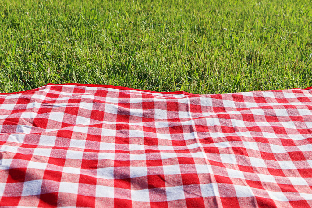 Mantel de picnic a cuadros en hierba verde fresca al aire libre - Foto, Imagen