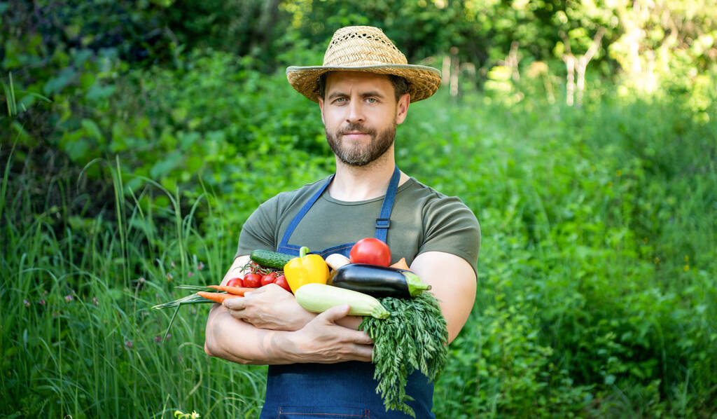 farmer falusi szalmakalapban tartsa friss érett zöldségek. - Fotó, kép