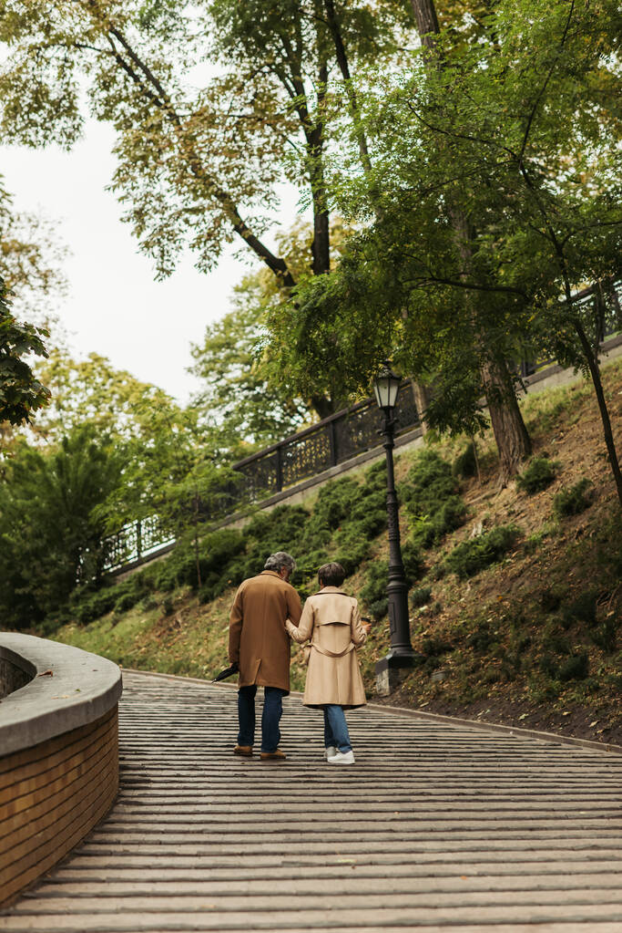 Rückansicht eines älteren Ehepaares in Mänteln, die mit Coffee to go und Regenschirm im Park spazieren gehen - Foto, Bild