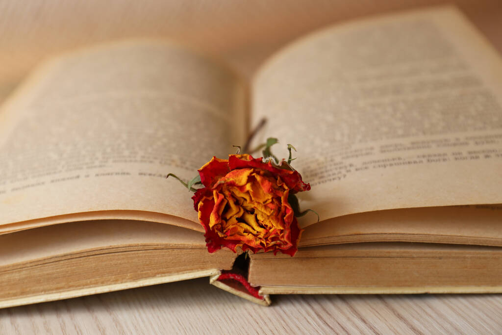 Buch mit schöner getrockneter Blume auf Holztisch, Nahaufnahme - Foto, Bild