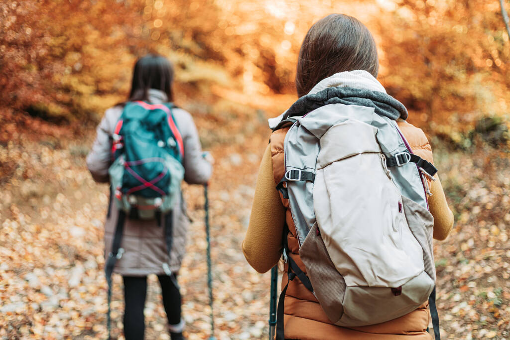 二人の女の子、ハイカー、秋の森を歩く - 写真・画像