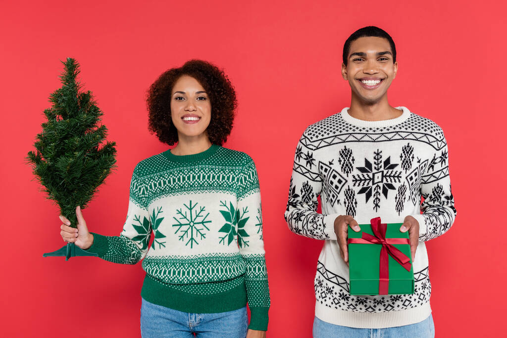 junges und stylisches afrikanisch-amerikanisches Paar mit Geschenkbox und kleinem Weihnachtsbaum, der isoliert auf rot in die Kamera blickt - Foto, Bild