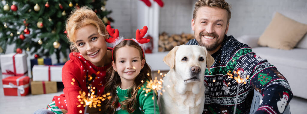 Ευτυχισμένη οικογένεια με χριστουγεννιάτικα πουλόβερ που κρατάει σπίθες κοντά στο Λαμπραντόρ στο σπίτι, πανό  - Φωτογραφία, εικόνα