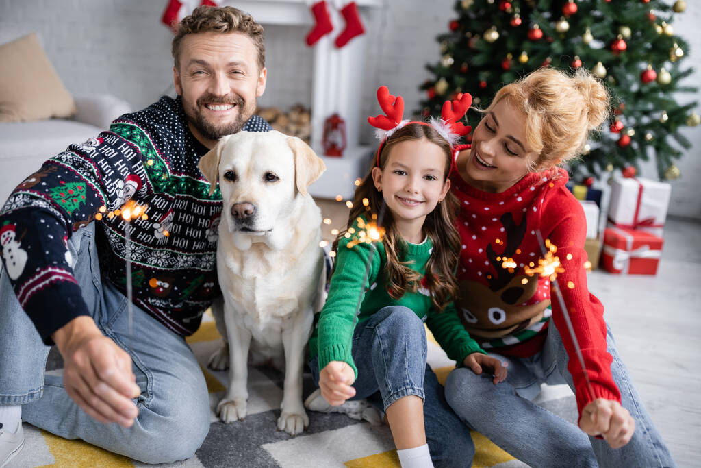 Wesoła rodzina w swetrach noworocznych trzymająca w domu iskry w pobliżu labradoru  - Zdjęcie, obraz
