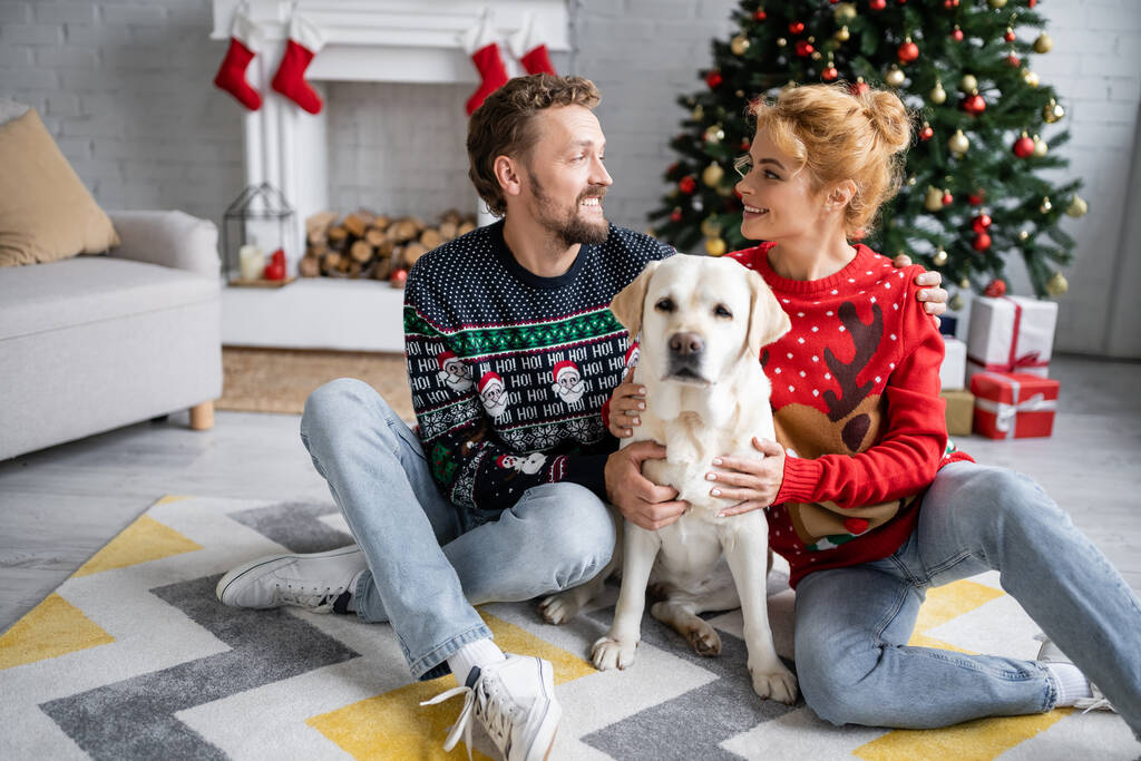 Positive couple in sweaters hugging labrador during christmas at home  - Photo, Image