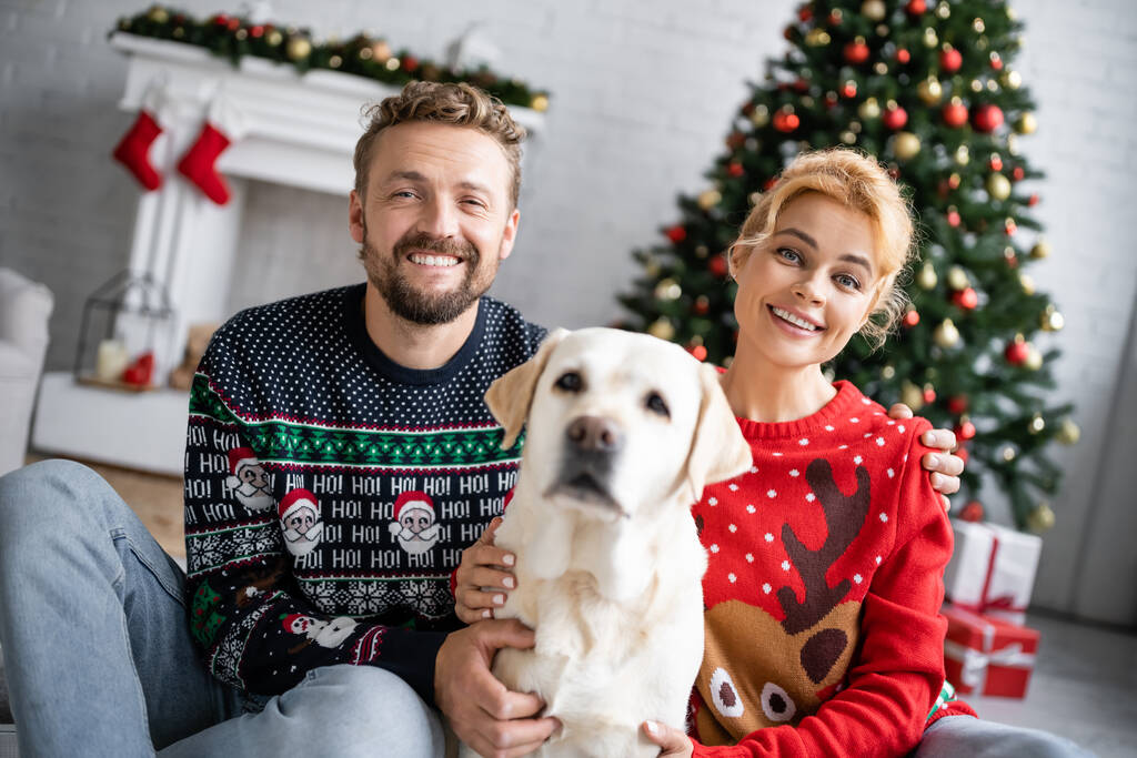 Coppia sorridente in maglioni di Capodanno abbracciando labrador a casa  - Foto, immagini