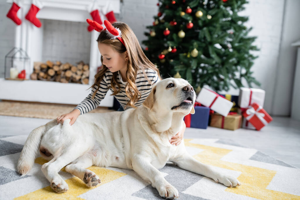 Dívka mazlení labrador poblíž rozmazlené vánoční strom doma  - Fotografie, Obrázek