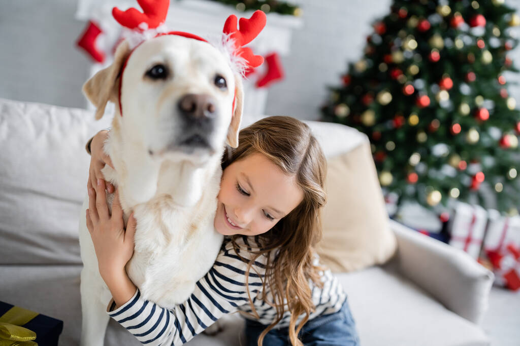 Χαρούμενο κορίτσι που αγκαλιάζει λαμπραντόρ με χριστουγεννιάτικη κορδέλα στον καναπέ στο σαλόνι  - Φωτογραφία, εικόνα