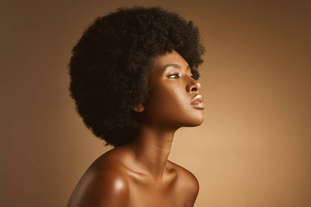 スタジオは美しいアフロと若い素晴らしいアフリカ系アメリカ人女性のショット。黒の女性モデル彼女の滑らかな色白と自然の美しさを示しながら、茶色の背景にポーズ. - 写真・画像