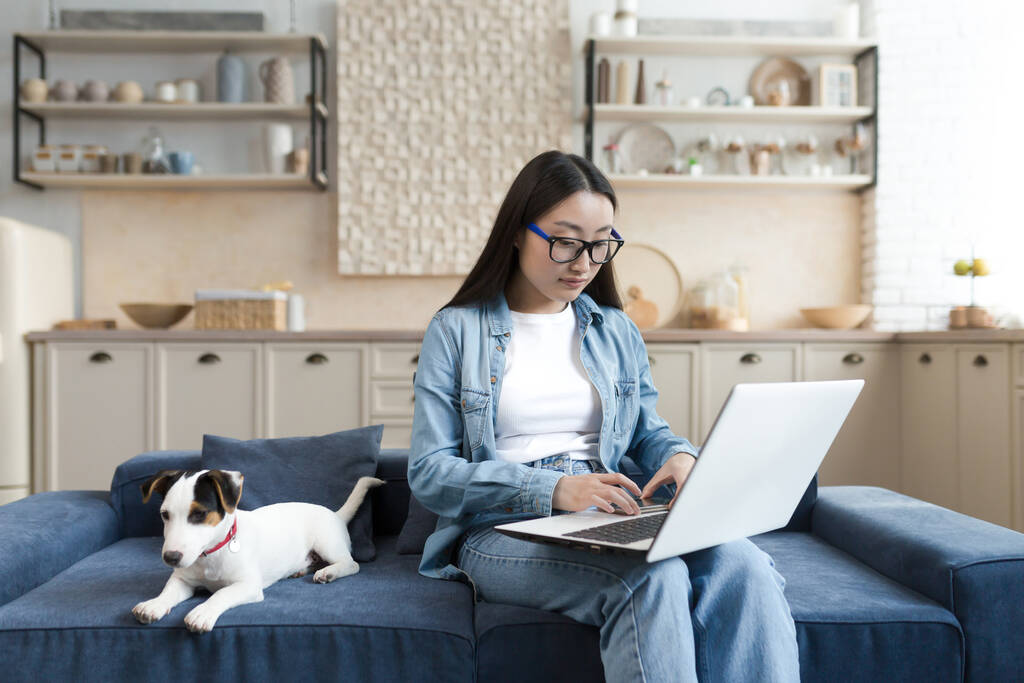 Genç, güzel Asyalı serbest çalışan uzaktan kumandalı bir kadın evcil köpeğiyle koltukta oturan Jack Russell terrier cinsi dizüstü bilgisayar kullanan bir kadın.. - Fotoğraf, Görsel