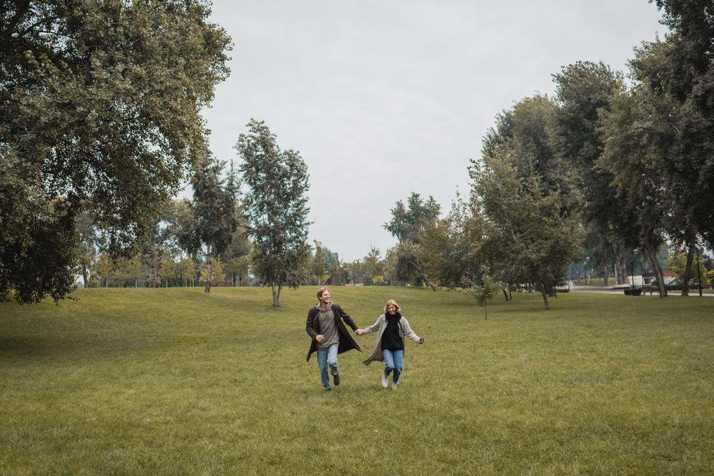 volledige lengte van gelukkig man en tevreden vrouw in jassen hand in hand terwijl het lopen op gras  - Foto, afbeelding