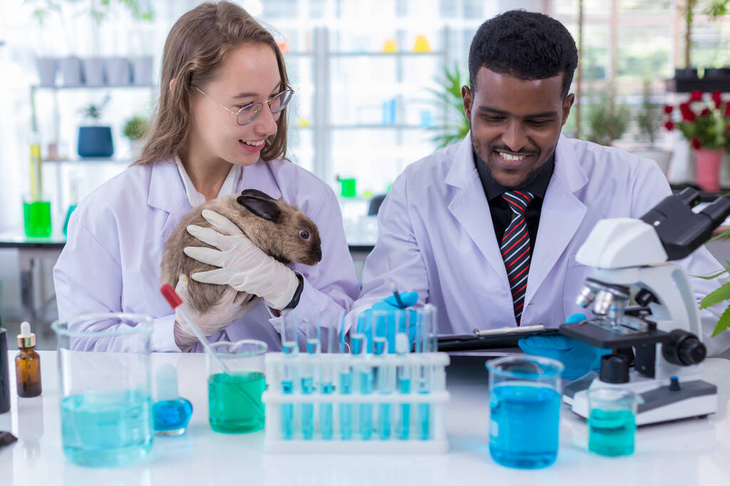 Scientist or pharmacist do research chemical ingredients test on animal in laboratory. rabbit in scientific lab experiment. - Photo, Image