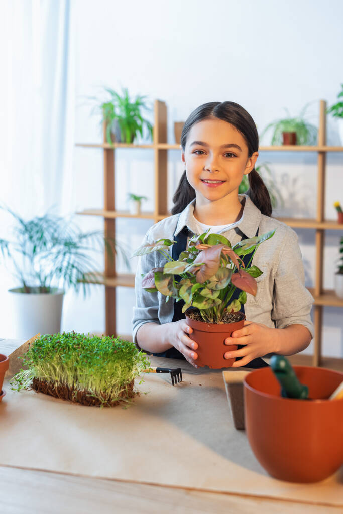 Chica sonriente sosteniendo planta cerca de rastrillo y maceta en casa  - Foto, imagen