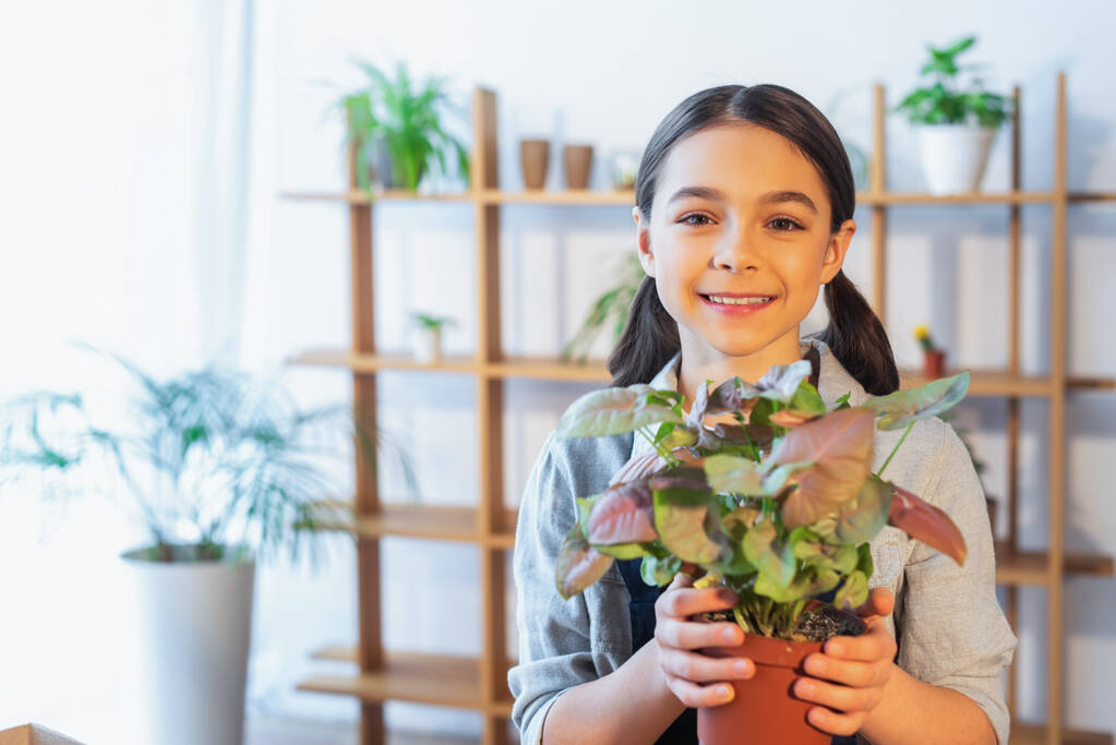 Preteen girl smiling at camera and holding plant at home  - 写真・画像