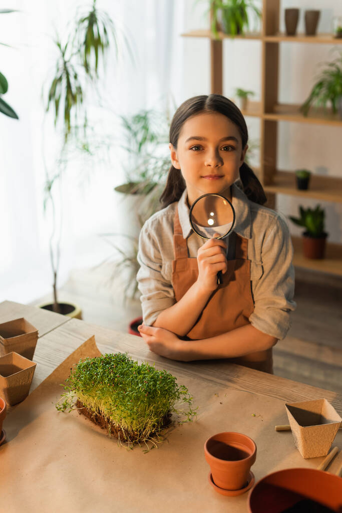 Preteen child in apron holding magnifying glass and looking at camera near microgreen at home  - Photo, Image
