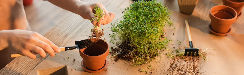 Vista cortada da criança plantando microgreen com ferramentas de jardinagem em casa, banner  - Foto, Imagem