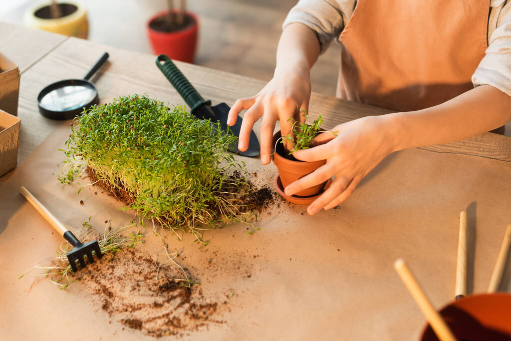 Vista recortada de niños plantando microgreen cerca de herramientas de jardinería en casa  - Foto, imagen