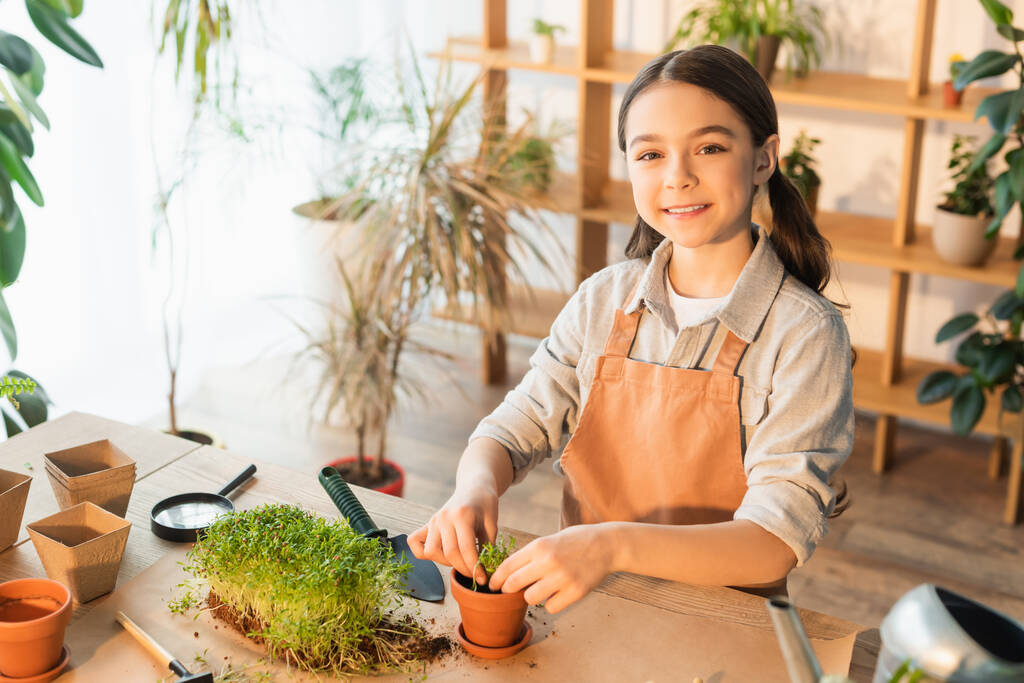 Boldog tizenéves lány ültetés mikrozöld és nézi a kamera otthon  - Fotó, kép