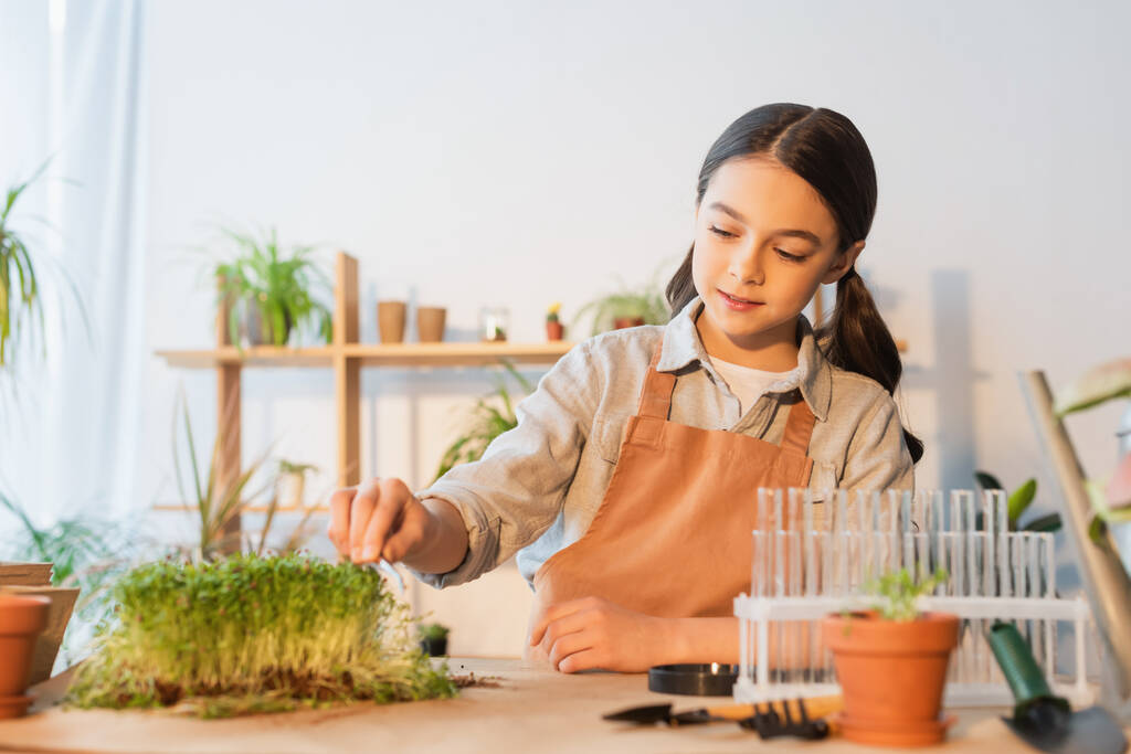 Kid in apron holding tweezers near plant and test tubes at home  - Photo, Image