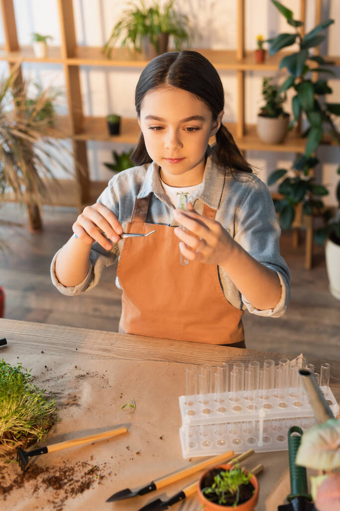 Girl in apron holding tweezers and test tube near plants at home  - Photo, Image
