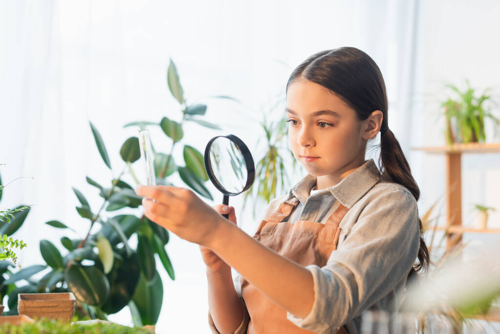 家で植物の近くに虫眼鏡と試験管を持っている女の子  - 写真・画像