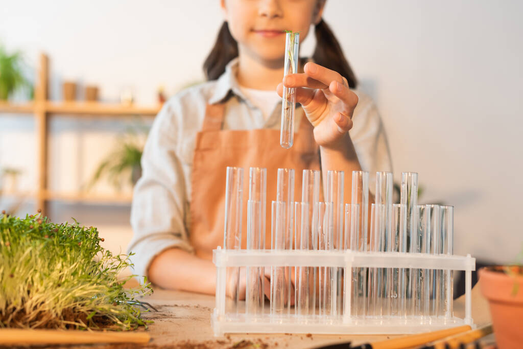 Cropped view of child holding test tube with plant at home  - Photo, Image