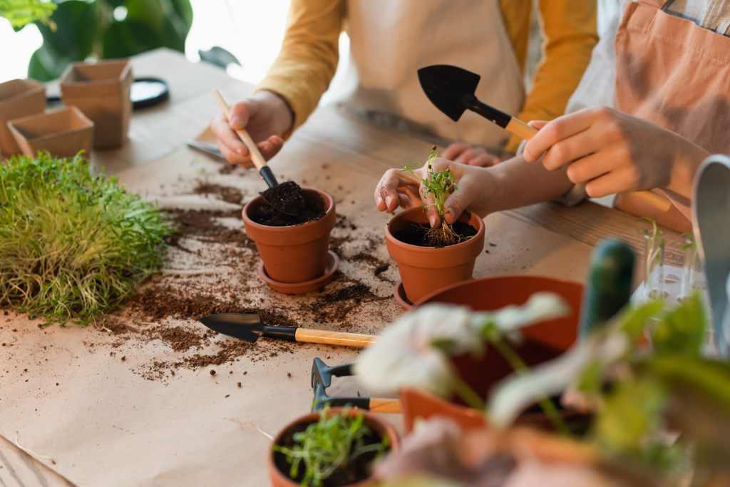 Vue recadrée d'amis préadolescents plantant microgreen près des outils de jardinage à la maison  - Photo, image