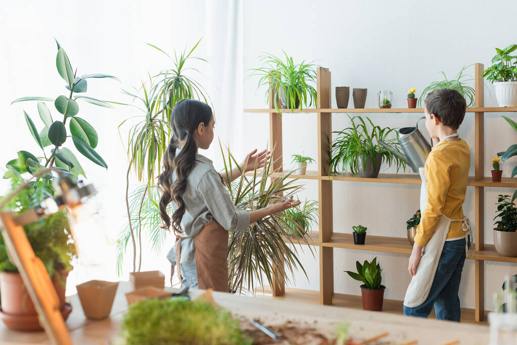Preteen enfants dans tabliers arrosage plantes à la maison  - Photo, image