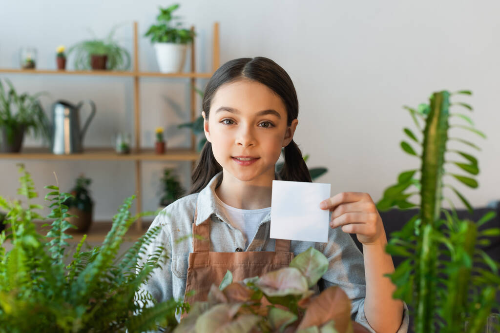 Preteen girl in apron holding sticky note near blurred plant at home  - 写真・画像